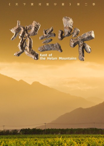 天下黄河富宁夏 2 贺兰山下